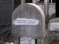 Szlovákiából elhurcoltak